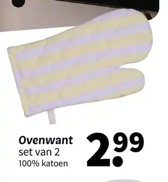 Wibra Ovenwant aanbieding