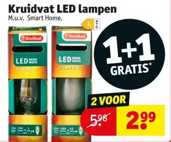 Kruidvat LED lampen