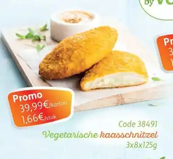 Bidfood Vegetarische kaasschnitzel 3x8x125g /stuk aanbieding