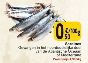 Cora sardines aanbieding