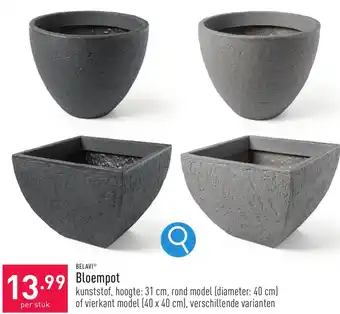 ALDI BELAVI Bloempot aanbieding