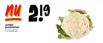 JUMBO BLOEMKOOL