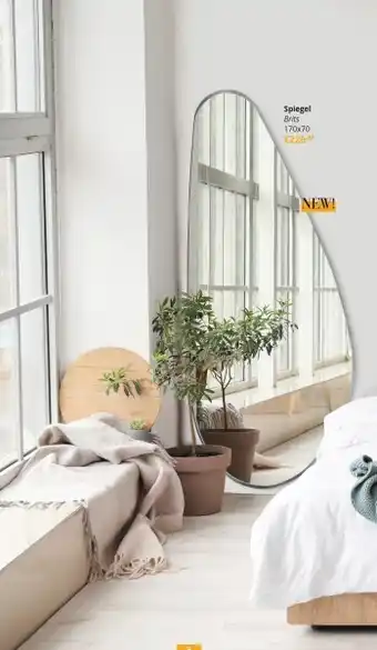 YGO Spiegel aanbieding