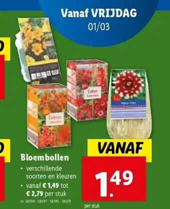 Lidl Bloembollen aanbieding