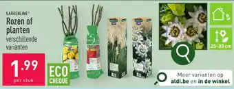ALDI GARDENLINE Rozen of planten aanbieding