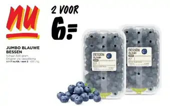 JUMBO BLAUWE BESSEN