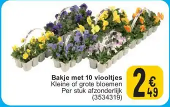 Bakje met 10 viooltjes