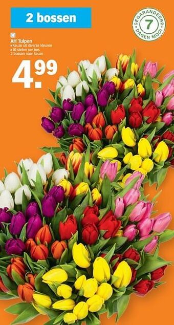 Albert Heijn Ah tulpen aanbieding