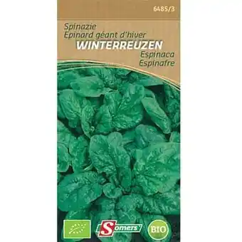 Brico Sachet graines épinard géant d’hiver Somers ’Winterreuzen’ aanbieding