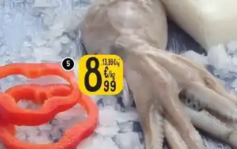 Octopus