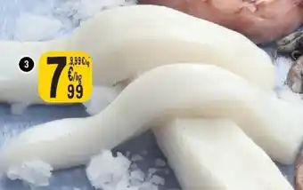 Cora Schijfje inktvis aanbieding