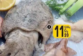 Cora Zeekat aanbieding