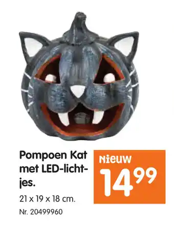 Fun Pompoen Kat met LED-licht-jes aanbieding