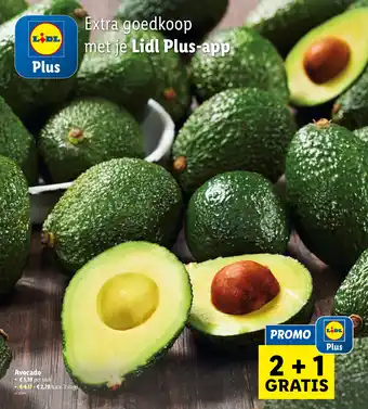 Lidl Avocado aanbieding