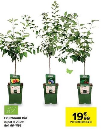 Carrefour Fruitboom bio aanbieding