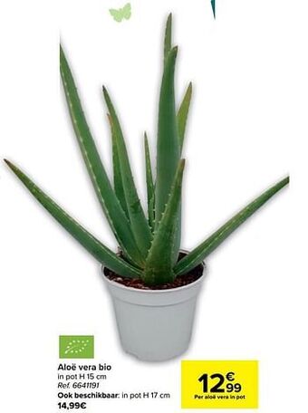 Carrefour Aloë vera bio aanbieding