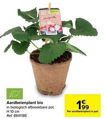Carrefour Aardbeienplant bio aanbieding