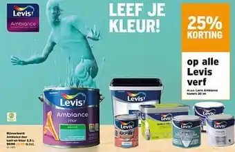 GAMMA Ambiance mur kant-en-klaar aanbieding