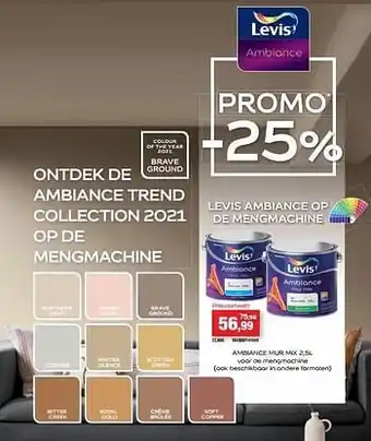 Hubo Ambiance mur mix aanbieding