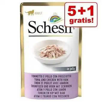 Zooplus Extra voordelig! Schesir Kat Jelly Pouch 6 x 85 g - Tonijn met Zalm aanbieding