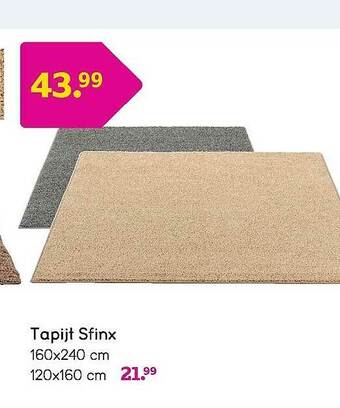 Leen Bakker Tapijt Sfinx aanbieding