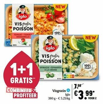 Visgratin iglo