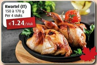 Aronde Kwartel aanbieding