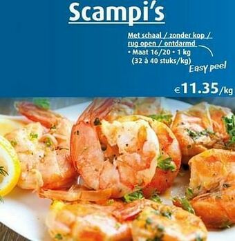 Aronde scampi`s aanbieding