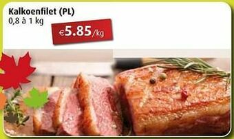 Aronde Kalkoenfilet aanbieding