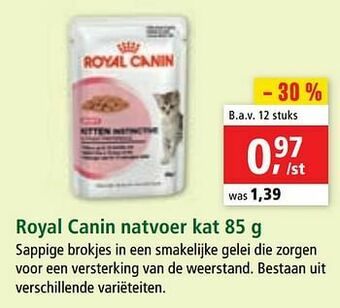 Maxi Zoo Royal canin natvoer kat aanbieding