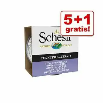 Zooplus 5 + 1 gratis! 6 x 85 g Schesir Tonijn in Gelei - Tonijn met pompoen aanbieding