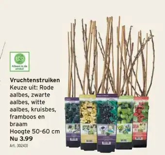 GAMMA Vruchtenstruiken aanbieding