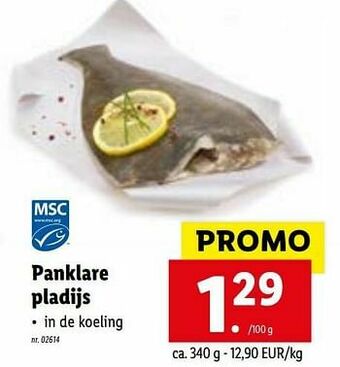 Panklare pladijs