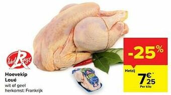 Hoevekip loué