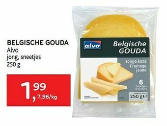 Belgische gouda alvo