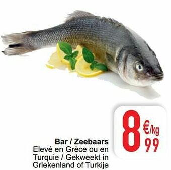 Bar - zeebaars