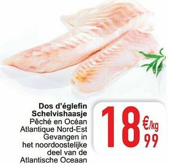 Dos d’églefin schelvishaasje
