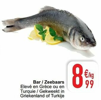 Cora Bar - zeebaars aanbieding