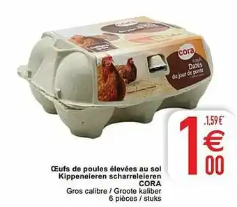 Cora Oeufs de poules élevées au sol kippeneieren scharreleieren cora aanbieding