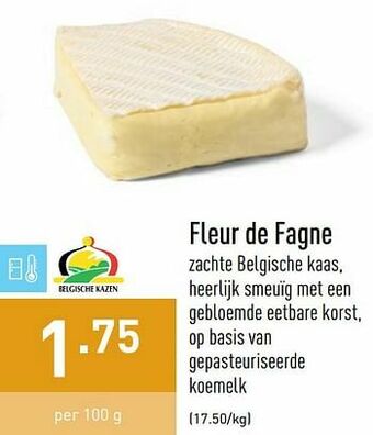 Fleur de fagne