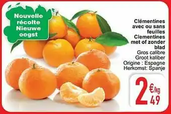Cora Clémentines avec ou sans feuilles clementines met of zonder blad aanbieding