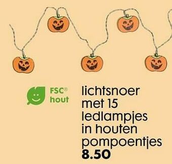 Lichtsnoer met 15 ledlampjes in houten pompoentjes