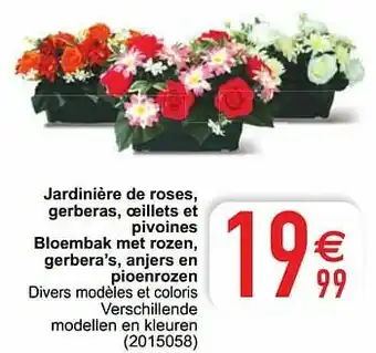 Cora Jardinière de roses gerberas oeillets et pivoines bloembak met rozen gerbera’s anjers en pioenrozen aanbieding