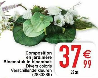 Cora Composition en jardinière bloemstuk in bloembak aanbieding