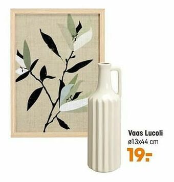 Kwantum Vaas lucoli aanbieding