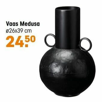 Kwantum Vaas medusa aanbieding