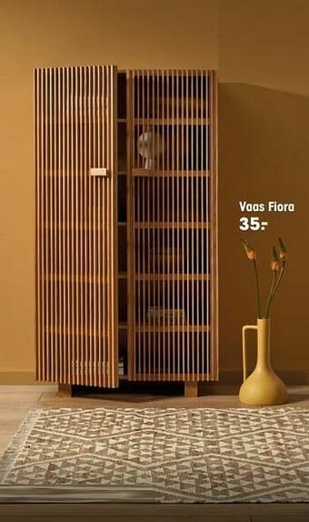 Kwantum Vaas fiora aanbieding