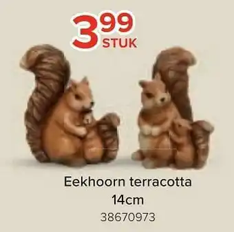 Euroshop Eekhoorn terracotta aanbieding