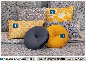 Carrefour Kussen anemone aanbieding