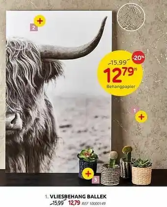 BricoPlanit Vliesbehang ballek aanbieding